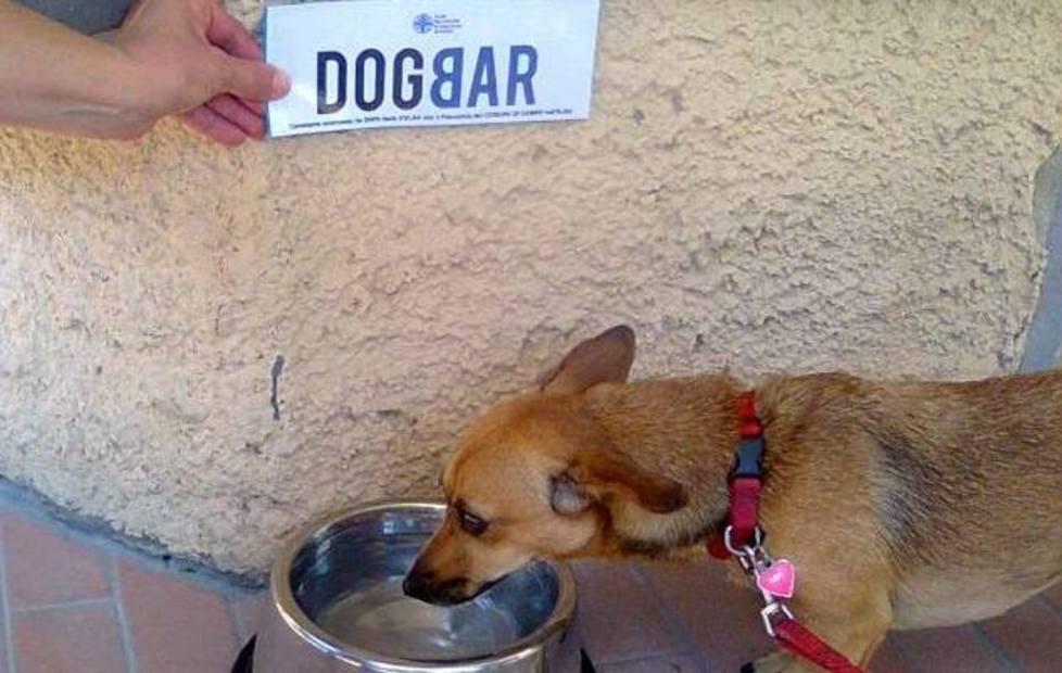 A Marina di Campo spuntano i “dog bar” 
