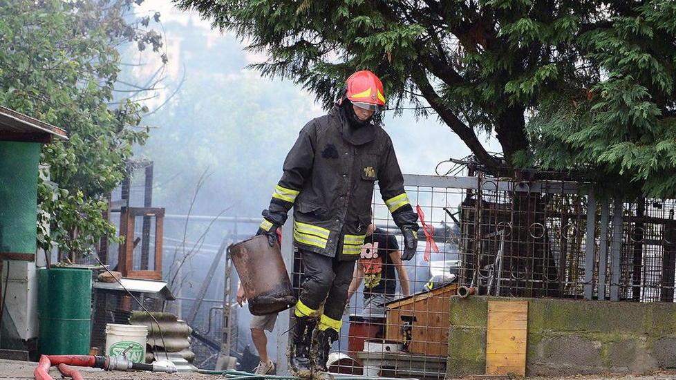 Rogo per un fulmine, morti 300 tra animali da cortile e piccioni