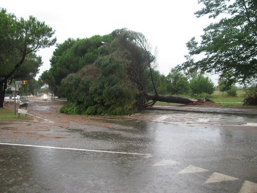 Maltempo sulle spiagge, danni in tutto il Ferrarese