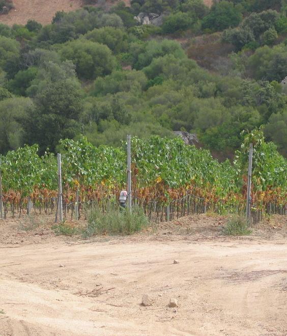 Ragnedda: sapevamo di essere nel giusto