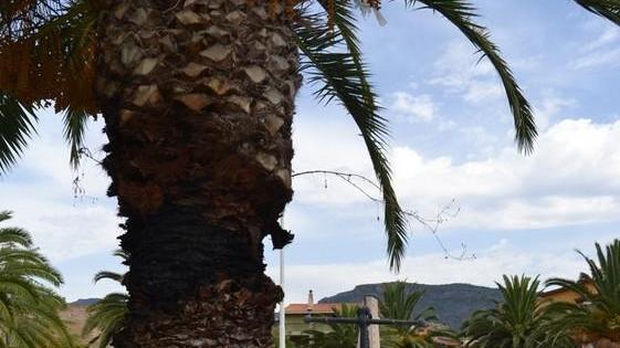 Vetri rotti e urla, vandali scatenati in piazza Kennedy