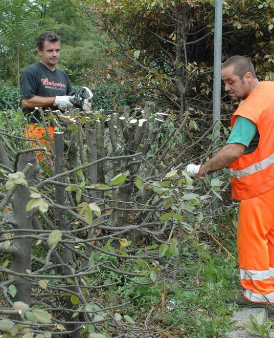 «Un lavoro a chi vive il disagio sociale Progetto vincente» 