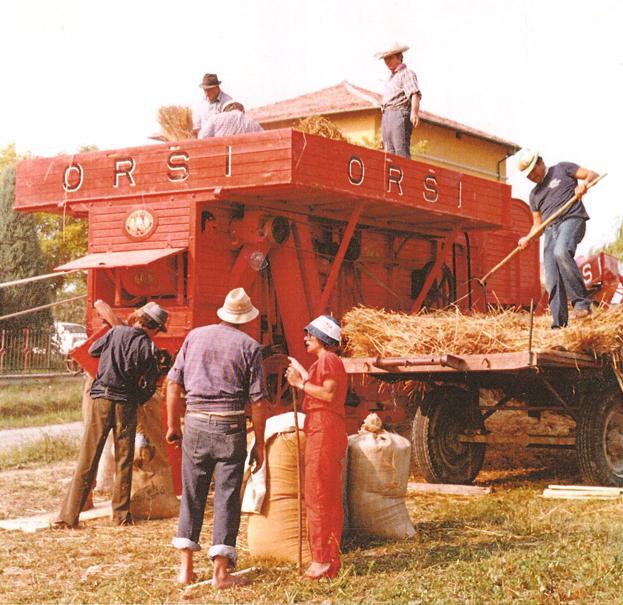 Dino si sveglia dal coma e Grassano fa festa 