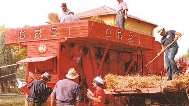 Dino si sveglia dal coma e Grassano fa festa