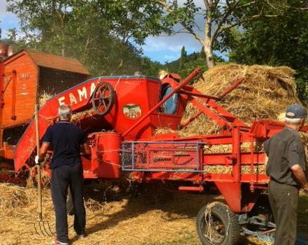 Si rinnova a Vaiano il rito della trebbiatura del grano 