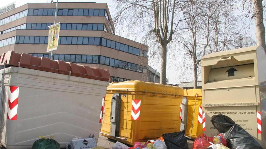 Prato, invasione di pidocchi nel giardino di Largo Europa