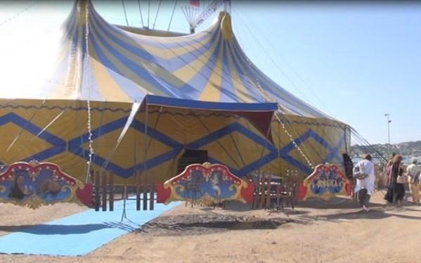 «Sul circo la toppa del Comune è peggio del buco»