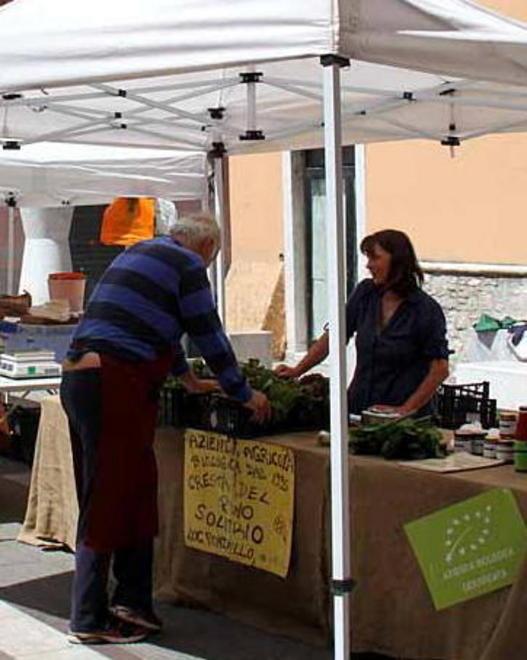 «Va fatto nel centro storico e con maggiori controlli» 