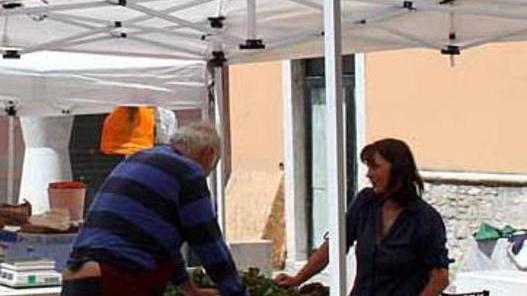 «Va fatto nel centro storico e con maggiori controlli»