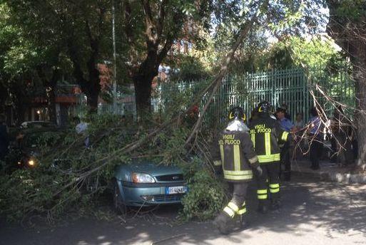 Via Gramsci, grosso ramo cade su un’auto in transito 