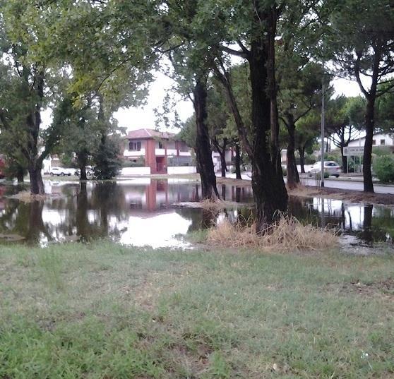 Alberi su auto e abitazioni Allagate strade ed attività 