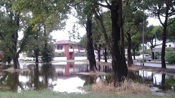 Alberi su auto e abitazioni Allagate strade ed attività