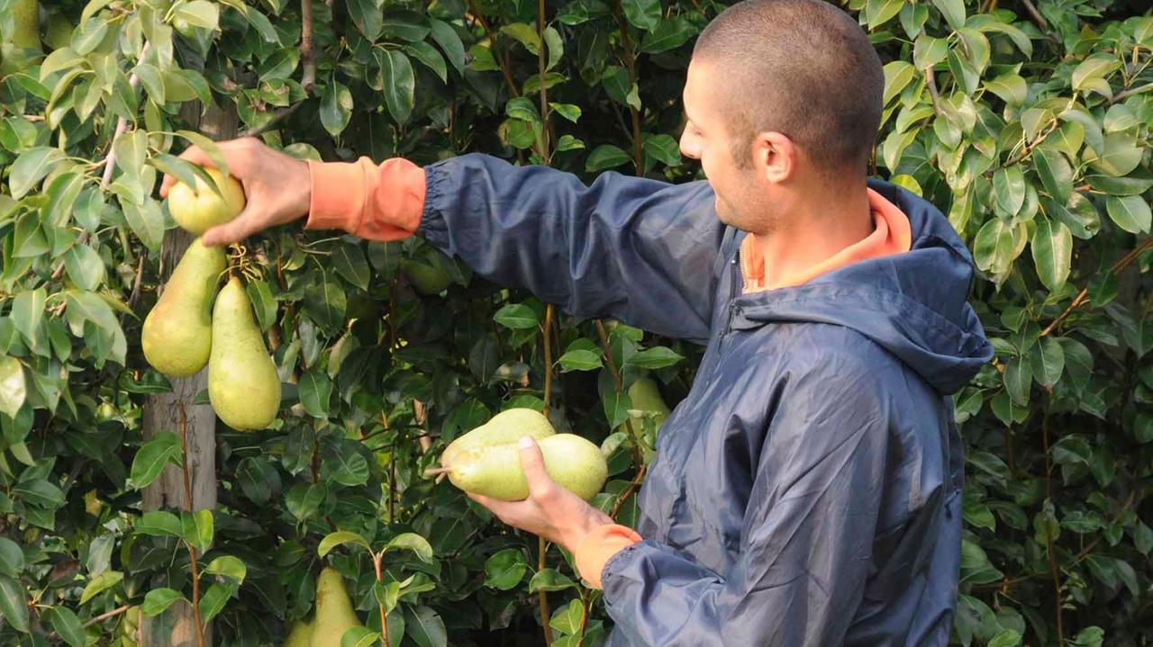 Crisi economica, rischiano seimila lavoratori stagionali