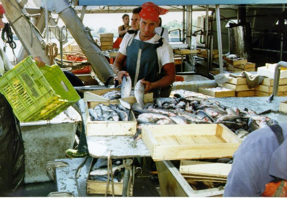 Scatta il fermo pesca, continuerà fino al 7 settembre