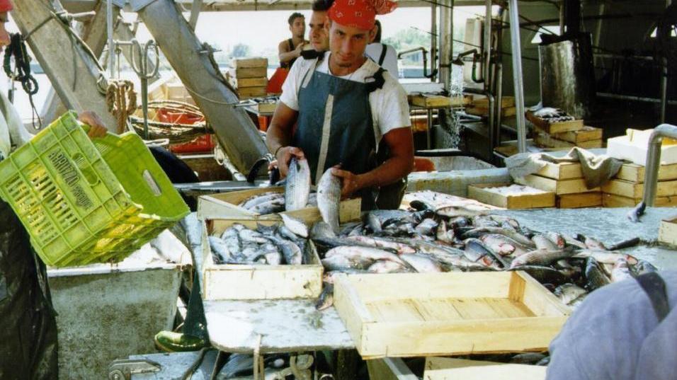 Scatta il fermo pesca, continuerà fino al 7 settembre