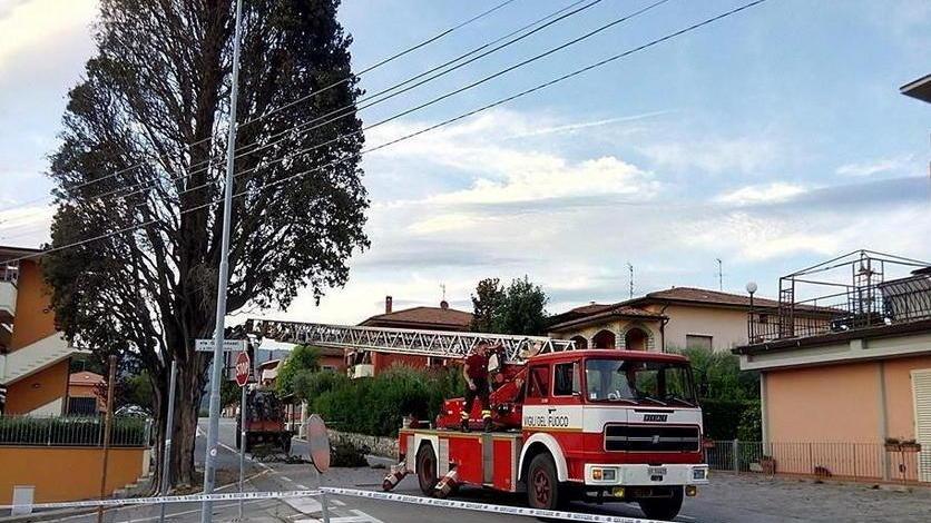 Albero pericolante, strada chiusa a Buggiano