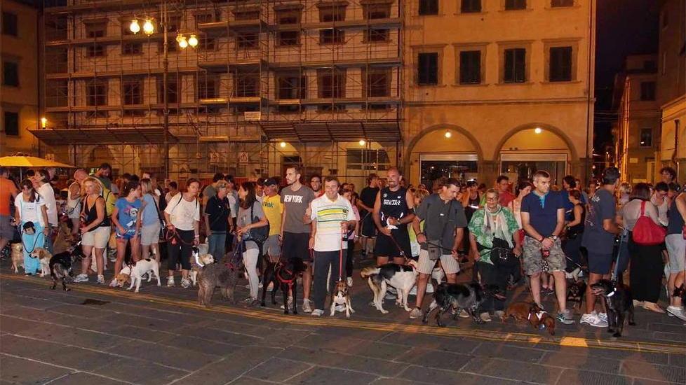 Cani (e padroni) corrono... per aiutare i "fratelli" meno fortunati