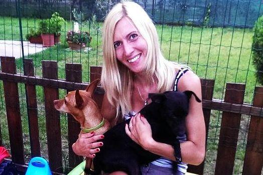 Spanky disperso sull’A1, trovato a Como grazie al microchip 