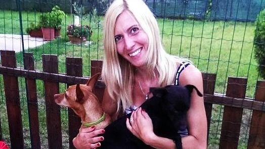 Spanky disperso sull’A1, trovato a Como grazie al microchip