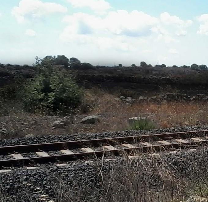 Il fuoco lambisce la periferia di Macomer