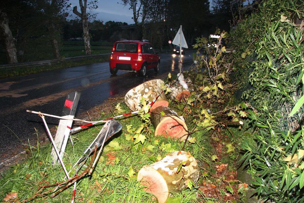 Piante si abbattono sulla strada a Pescaglia mentre passa un automobilista 