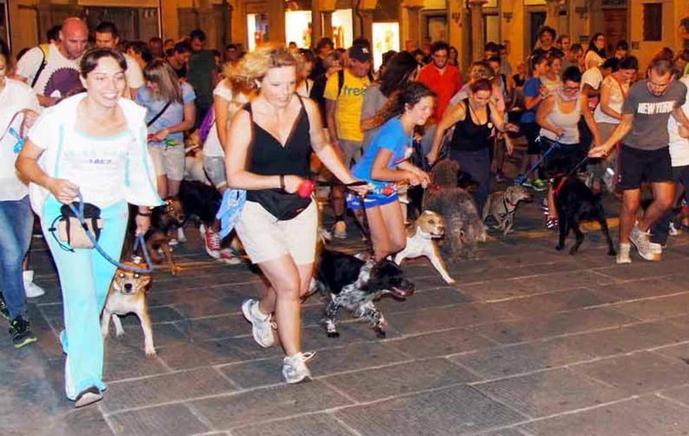 Cani e padroni di corsa in centro 