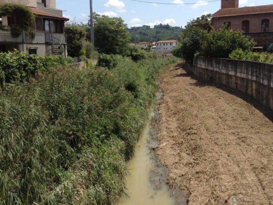 Pulizia fatta a metà L’Egola è il simbolo della mala burocrazia 