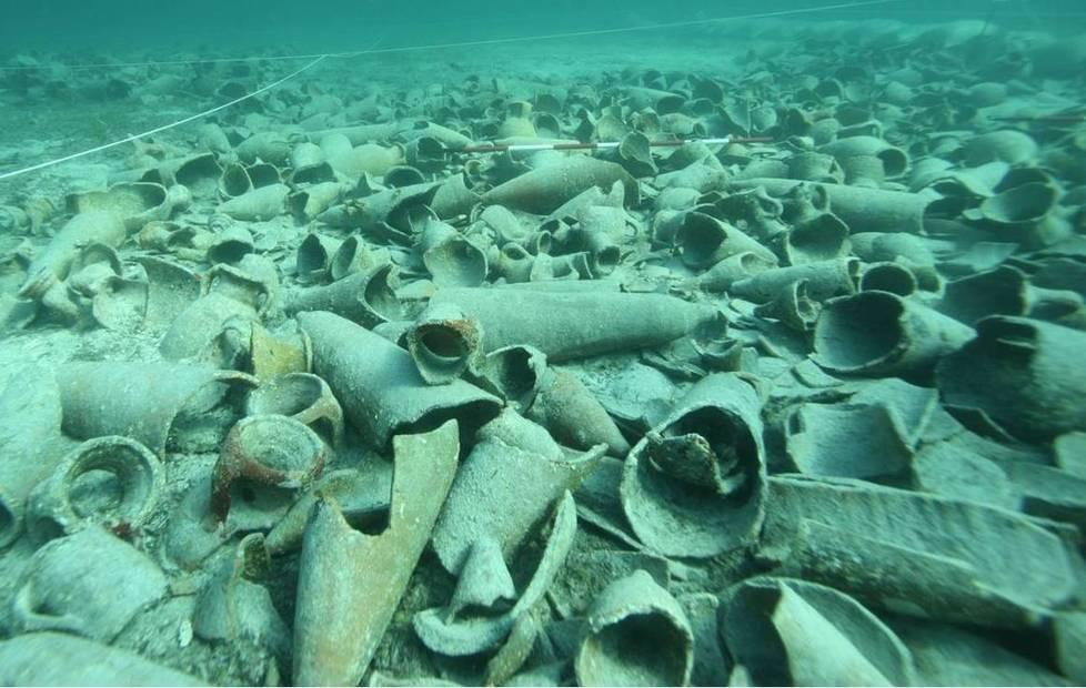 Le immersioni nel “museo” dell’Asinara 