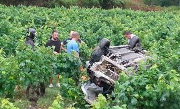 Auto vola dentro un vigneto