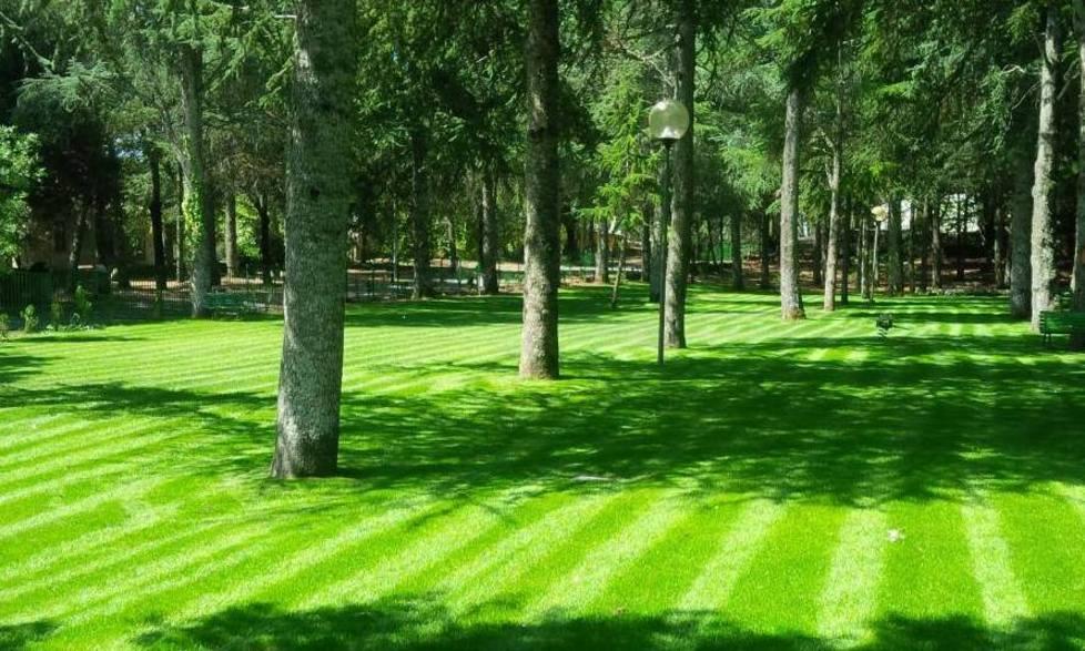 Il prato è pronto per la consegna