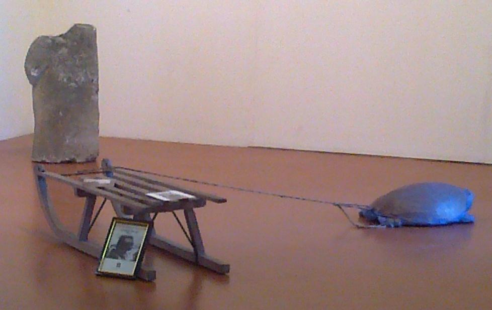 Al Mauriziano una mostra-omaggio all’Ariosto 