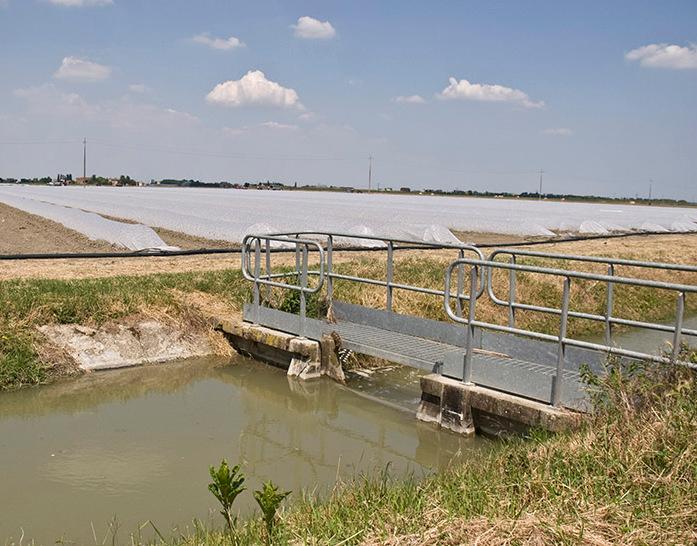 Bonifica attiva, le piogge non fermano l’irrigazione