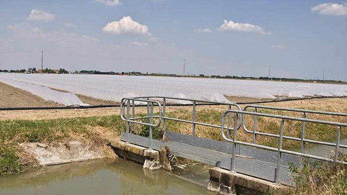 Bonifica attiva, le piogge non fermano l’irrigazione
