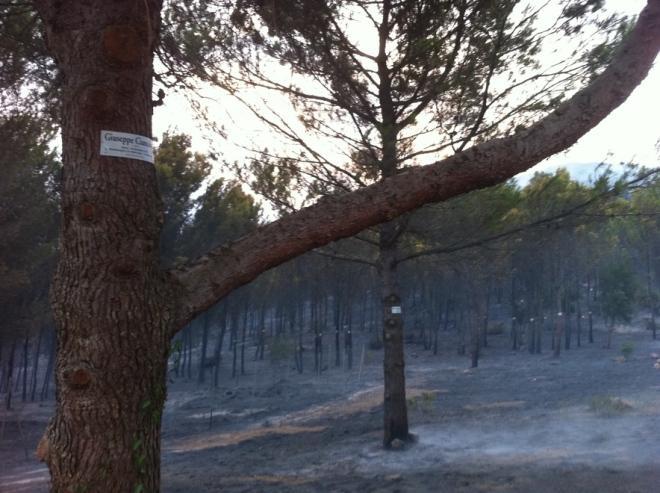 Nuovo incendio alle porte di Iglesias: notte di lavoro per i vigili del fuoco 