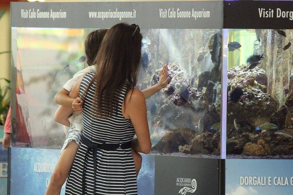 Ilaria D'Amico, dopo Buffon la Sardegna: ma le ferie sono finite 