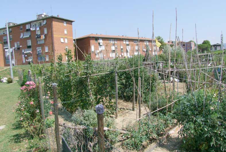 Orti sociali, verso il bando «Un percorso condiviso» 