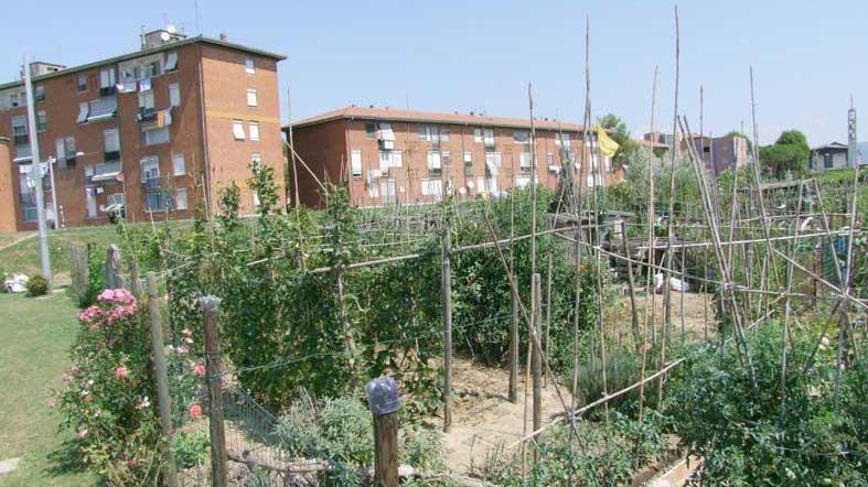 Orti sociali, verso il bando «Un percorso condiviso»