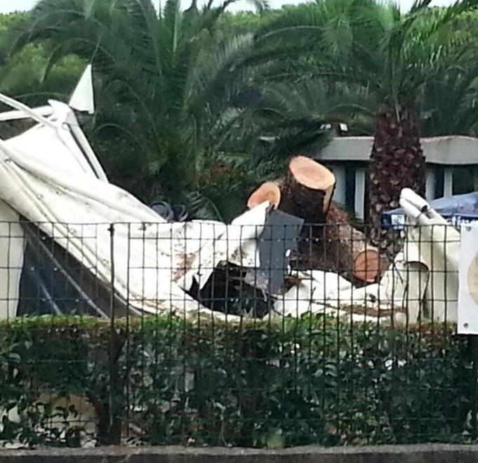 Un pino si abbatte sul gazebo di un ristorante