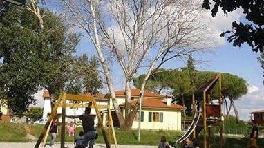 Un pioppo pericoloso ai Laghetti