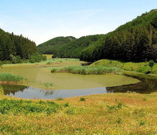 In marcia fino allo specchio del lago Pratignano