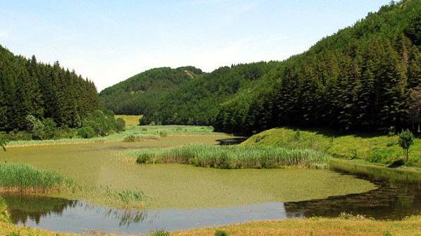 In marcia fino allo specchio del lago Pratignano