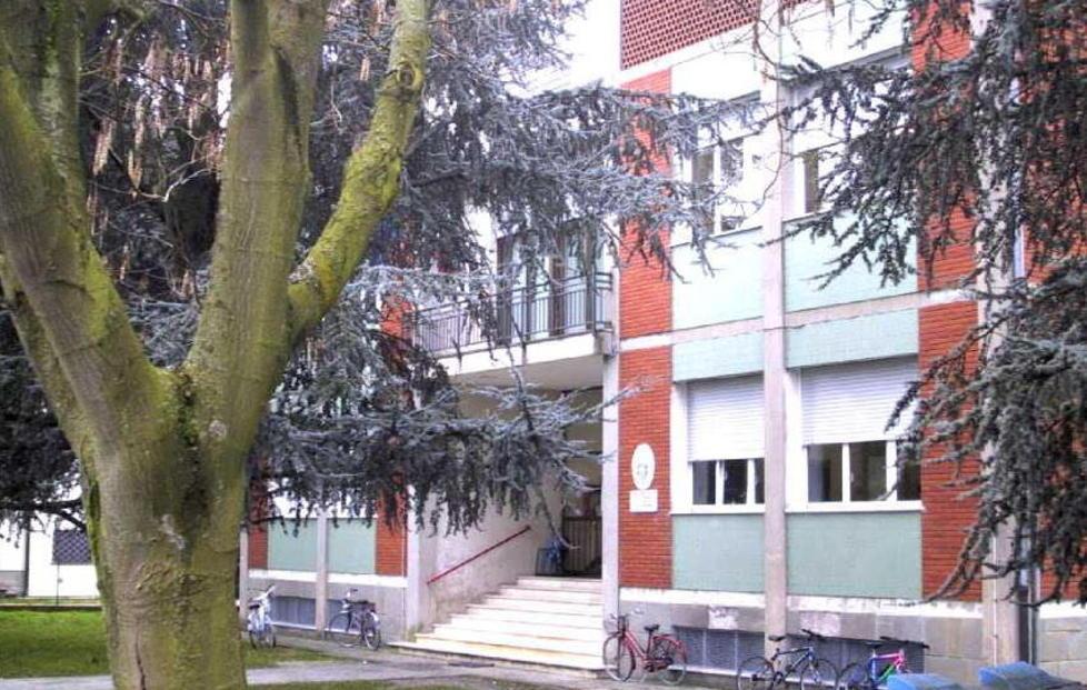 Il CdP tinteggerà le tre aule della scuola media