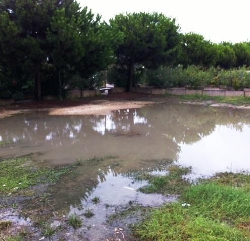 Il sottopasso della Romea colmo d’acqua Lidi, colpiti retrospiaggia ed aree verdi