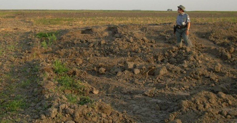 La denuncia del Wwf: Mezzano devastato 