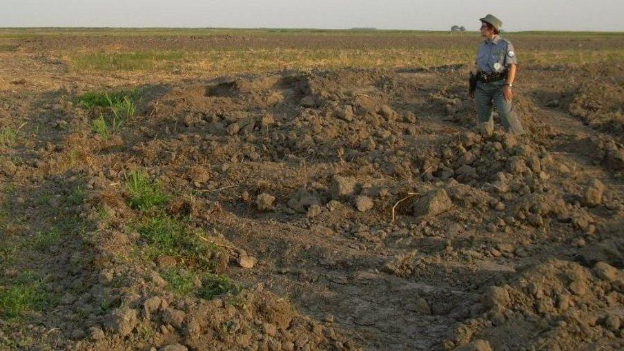 La denuncia del Wwf: Mezzano devastato