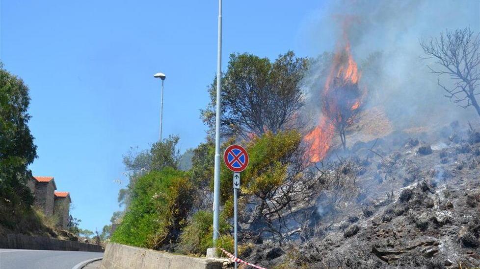 A Castiglione della Pescaia l’ennesimo raid del piromane