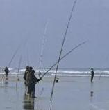 Pesca: domani a Marina di Donoratico trofeo di surfcasting