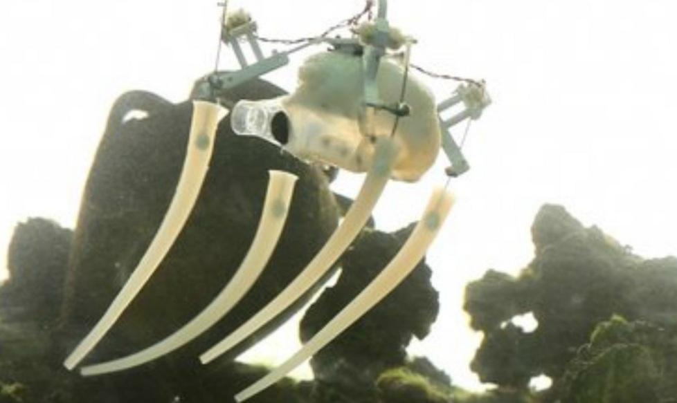 Il polpo robot sbarca sul New York Times 