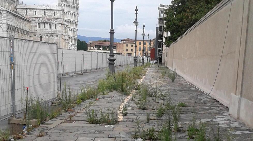 Discarica di erbacce e rifiuti a due passi dalla Torre