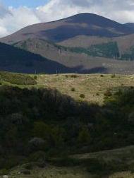 Nuovi volontari per abbellire anche le frazioni